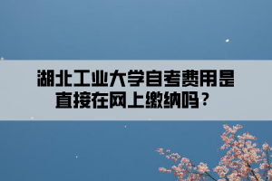 湖北工業(yè)大學(xué)自考費用是直接在網(wǎng)上繳納嗎？