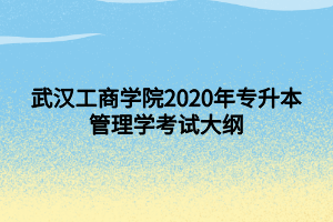 武漢工商學(xué)院2020年專(zhuān)升本管理學(xué)考試大綱