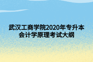 武漢工商學(xué)院2020年專升本會計學(xué)原理考試大綱