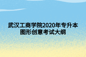 武漢工商學(xué)院2020年專升本圖形創(chuàng)意考試大綱