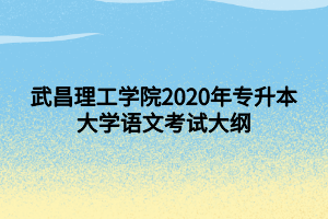 武昌理工學(xué)院2020年專升本大學(xué)語(yǔ)文考試大綱