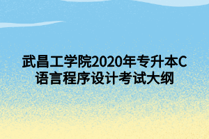 武昌工學(xué)院2020年專升本C語言程序設(shè)計(jì)考試大綱