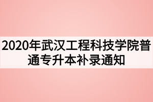 2020年武漢工程科技學院普通專升本補錄通知