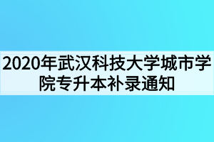 2020年武漢科技大學(xué)城市學(xué)院專(zhuān)升本補(bǔ)錄通知