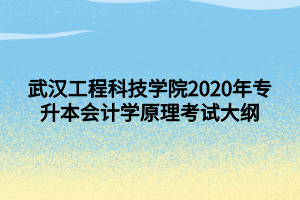 武漢工程科技學院2020年專升本會計學原理考試大綱