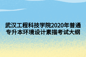 武漢工程科技學院2020年普通專升本環(huán)境設計素描考試大綱