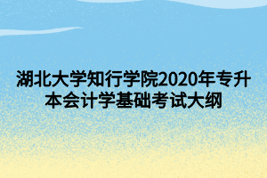 湖北大學知行學院2020年專升本會計學基礎(chǔ)考試大綱