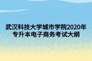 武漢科技大學(xué)城市學(xué)院2020年專(zhuān)升本電子商務(wù)考試大綱