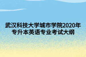 武漢科技大學(xué)城市學(xué)院2020年專升本英語專業(yè)考試大綱