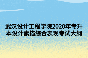 武漢設(shè)計(jì)工程學(xué)院2020年專升本設(shè)計(jì)素描綜合表現(xiàn)考試大綱