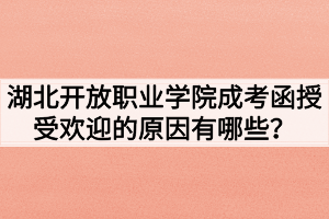 湖北開放職業(yè)學(xué)院成考函授受歡迎的原因有哪些？