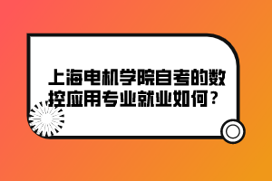 上海電機學(xué)院自考的數(shù)控應(yīng)用專業(yè)就業(yè)如何？