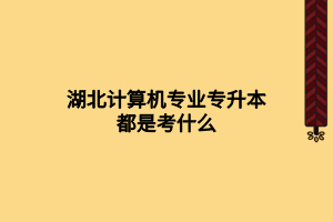 湖北計算機(jī)專業(yè)專升本都是考什么