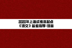 2020年上海成考高起點(diǎn)《語(yǔ)文》備考指導(dǎo)_語(yǔ)音