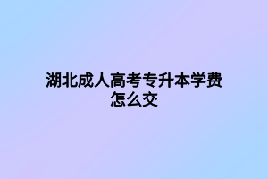 湖北成人高考專升本學(xué)費(fèi)怎么交