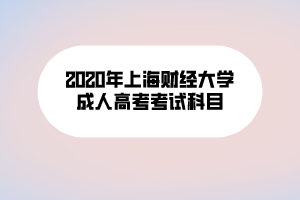 2020年上海財(cái)經(jīng)大學(xué)成人高考考試科目