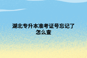 湖北專升本準(zhǔn)考證號(hào)忘記了怎么查