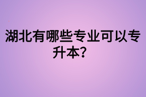 湖北有哪些專業(yè)可以專升本？