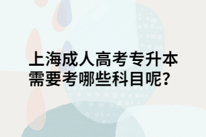 上海成人高考專升本需要考哪些科目呢？