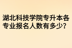 湖北科技學(xué)院專升本各專業(yè)報(bào)名人數(shù)有多少？