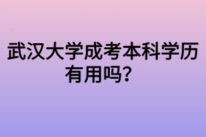 武漢大學(xué)成考本科學(xué)歷有用嗎？