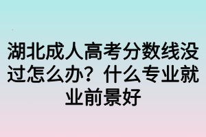 湖北成人高考分?jǐn)?shù)線沒(méi)過(guò)怎么辦？什么專業(yè)就業(yè)前景好