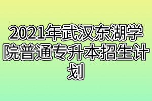 2021年武漢東湖學(xué)院普通專升本招生計(jì)劃