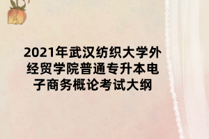 2021年武漢紡織大學(xué)外經(jīng)貿(mào)學(xué)院普通專升本電子商務(wù)概論考試大綱