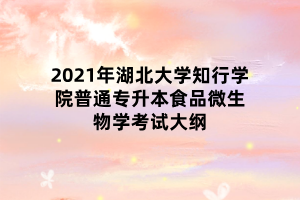 2021年湖北大學知行學院普通專升本食品微生物學考試大綱