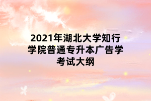 2021年湖北大學(xué)知行學(xué)院普通專升本廣告學(xué)考試大綱