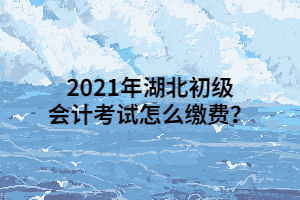 2021年湖北初級(jí)會(huì)計(jì)考試怎么繳費(fèi)？