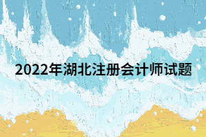 2022年湖北注冊會計師試題一