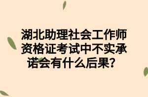 湖北助理社會工作師資格證考試中不實承諾會有什么后果？