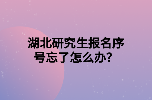 湖北研究生報(bào)名序號(hào)忘了怎么辦？