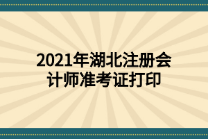 2021年湖北注冊(cè)會(huì)計(jì)師準(zhǔn)考證打印