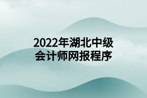 2022年湖北中級(jí)會(huì)計(jì)師網(wǎng)報(bào)程序