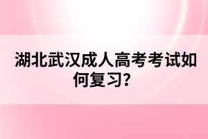 湖北武漢成人高考考試如何復習？