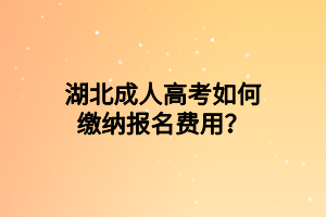 湖北成人高考如何繳納報名費用？