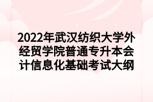 2022年武漢紡織大學外經(jīng)貿學院普通專升本會計信息化基礎考試大綱