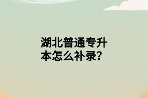 湖北普通專升本怎么補(bǔ)錄？