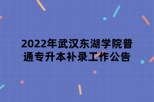 2022年武漢東湖學院普通專升本補錄工作公告