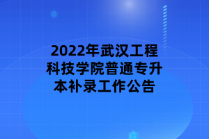 2022年武漢工程科技學(xué)院普通專升本補(bǔ)錄工作公告 (1)