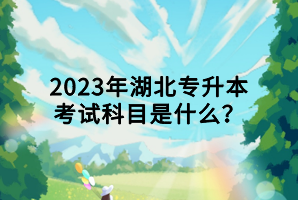 2023年湖北專升本考試科目是什么？