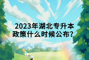 2023年湖北專升本政策什么時候公布？